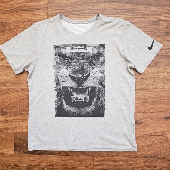 Nike Other - Nike Dri fit Lebron James T-Shirt